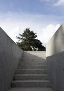 A minimalist concrete staircase with a dog standing on a ledge in the background.