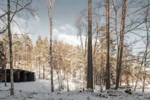 Modern residential architecture featuring metallic structures surrounded by trees.