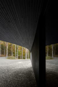 A modern interior designed with black wooden walls and ceiling, showcasing a minimalist aesthetic.