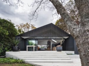 A modern residential exterior with black corrugated metal siding, large glass windows, and a large tree in the foreground.
