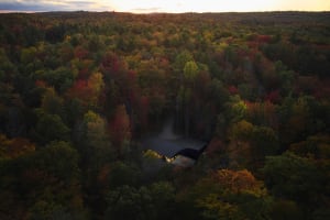 A modern house nestled in a dense forest during sunset.