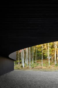 View of a modern minimalist architectural interior showcasing black-paneled walls and a curved ceiling.