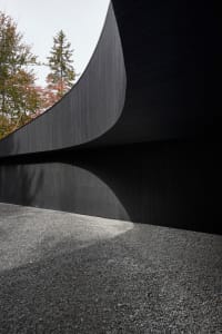 Black wooden architectural structure with curved edges.