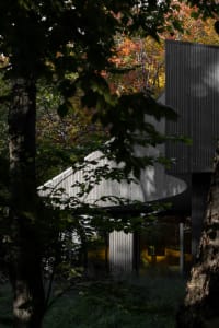 A modern residential exterior featuring wooden siding in a wooded area during winter.