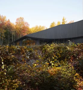 A clean, minimalist modern exterior of a house made of steel, nestled in a forest with autumn foliage.