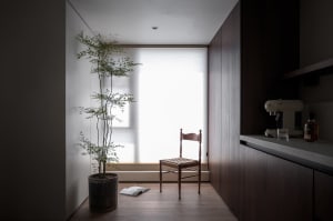 Minimalist home office space featuring wooden chair, potted plant, and glass window with blinds.