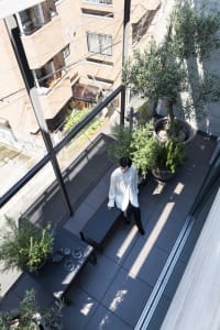 A minimalist apartment space featuring a living area with concrete flooring, potted plants, and a glass wall.