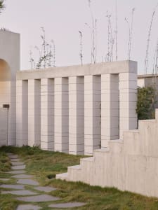 Modern exterior wall made of white concrete blocks with tall green plants growing on top.