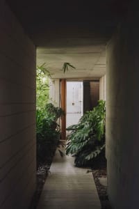 Concrete corridor with plants and a ceiling light.