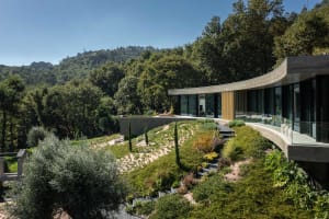 A modern house designed with concrete, featuring a garden with various plants and a curving glass wall.