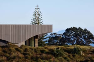 Modern residential exterior with wooden siding and a curved roof.