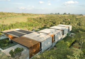 A modern house with concrete and wooden exterior surrounded by lush greenery