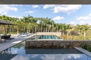 An elegant, modern residential pool constructed from concrete surrounded by a landscaped garden with tall palm trees.