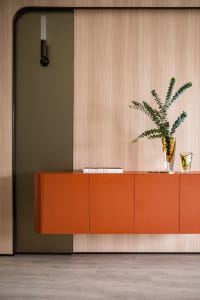 A modern living room featuring a wooden cabinet with orange doors and a vase with green leaves, set against a wooden wall and