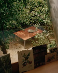 A view of a table surrounded by greenery in what appears to be an outdoor space.