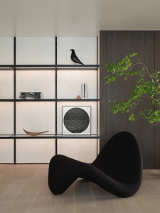 Modern minimalist living space with a black floating chair, a wall-mounted shelving unit with books, and a green leafy plant.