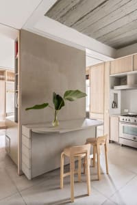 A modern kitchen features concrete walls and walnut furniture with a single plant on a bar counter.