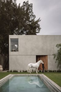 A modern minimalist house with a concrete facade and a white horse standing in front of it.
