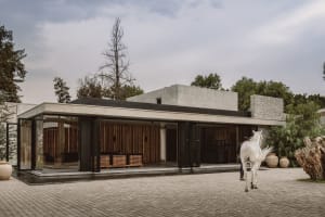 Modern minimalist home exterior featuring concrete and glass materials.
