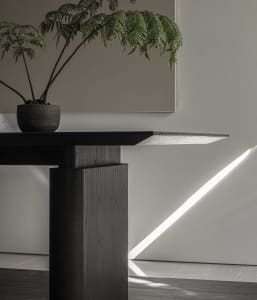Modern interior design featuring a wooden console table with built-in lighting and a potted plant.