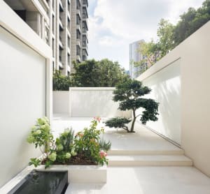 A modern, minimalist garden featuring concrete planters and a sleek, white wall.