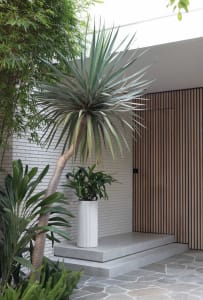 An industrial entryway featuring a concrete planter with a palm plant and a wooden panel wall.