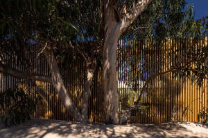 Modern wooden fence with shadows cast by surrounding trees.