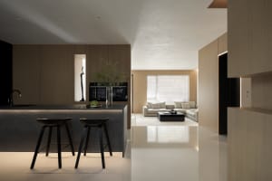 Modern minimalist kitchen with wood finishes
