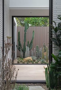 Modern entrance yard featuring a concrete pathway and rock surrounded by various cacti and succulents, framed by a wooden fen