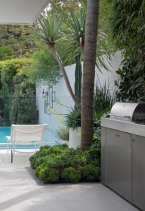 A modern patio featuring tropical greenery and a stainless steel grill.