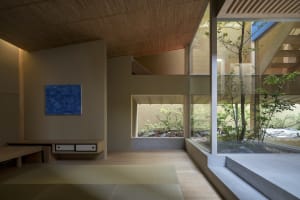 Modern living room with wooden floors, large glass windows, and indoor plants.