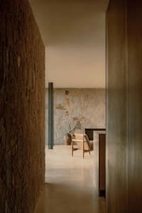 A minimalist living room with concrete walls, a wooden armchair, and a vase with green branches.