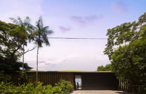 A modern, man-made building with a green rooftop amidst lush surroundings.