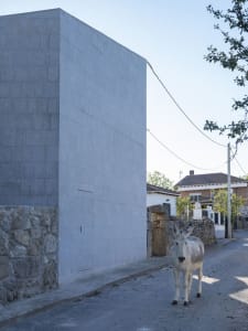 A street view of a building with a grey concrete block exterior, featuring a white donkey walking on the pavement.