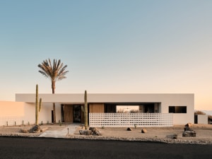 Modern house with a concrete exterior featuring a palm tree and cacti.