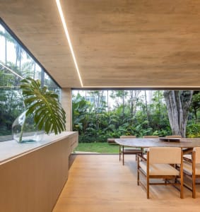 Modern residential dining room with wooden floor, concrete walls, glass windows, and indoor plants