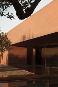 Modern exterior view of a house with red terrazzo and olive tree shadows on the wall.