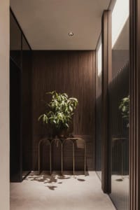 A modern minimalist interior featuring sustainable wood elements and a potted plant.