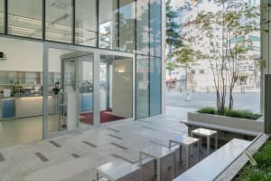 A modern coffee shop with glass walls and a tree in a planter, situated on a city street.