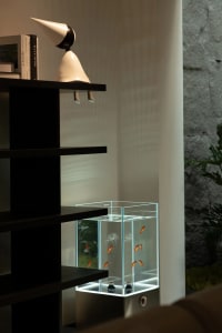 A modern interior featuring a sleek, glass aquarium with fish swimming inside, placed next to a black bookshelf with decorati