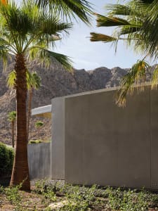 Modern house with concrete exterior and palm trees.
