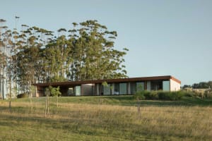 Modern residential house with large windows, wooden exterior, and glass walls surrounded by greenery.
