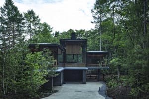 Modern residential building with glass facade amidst greenery
