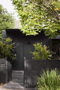 A modern house entry featuring a black wooden door surrounded by greenery and a black fence.