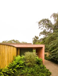 A modern exterior made of wood with a flat roof and lush greenery around it.
