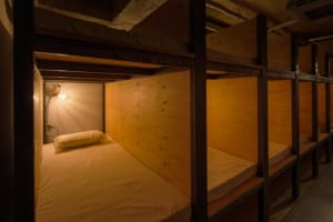 Modern minimalist bedroom with wood paneling and a single bed.