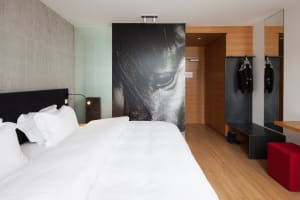 Modern minimalist bedroom with a white bed, wooden flooring, concrete walls, and glass panels.
