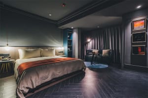 Modern hotel room featuring dark timber flooring and a comfortable bed with plush pillows and a colorful blanket.