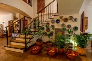 Traditional home entryway featuring wooden stairs and ceramic pots filled with green plants.