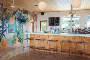 A vibrant tropical-themed bar counter with a variety of drinks and stools.